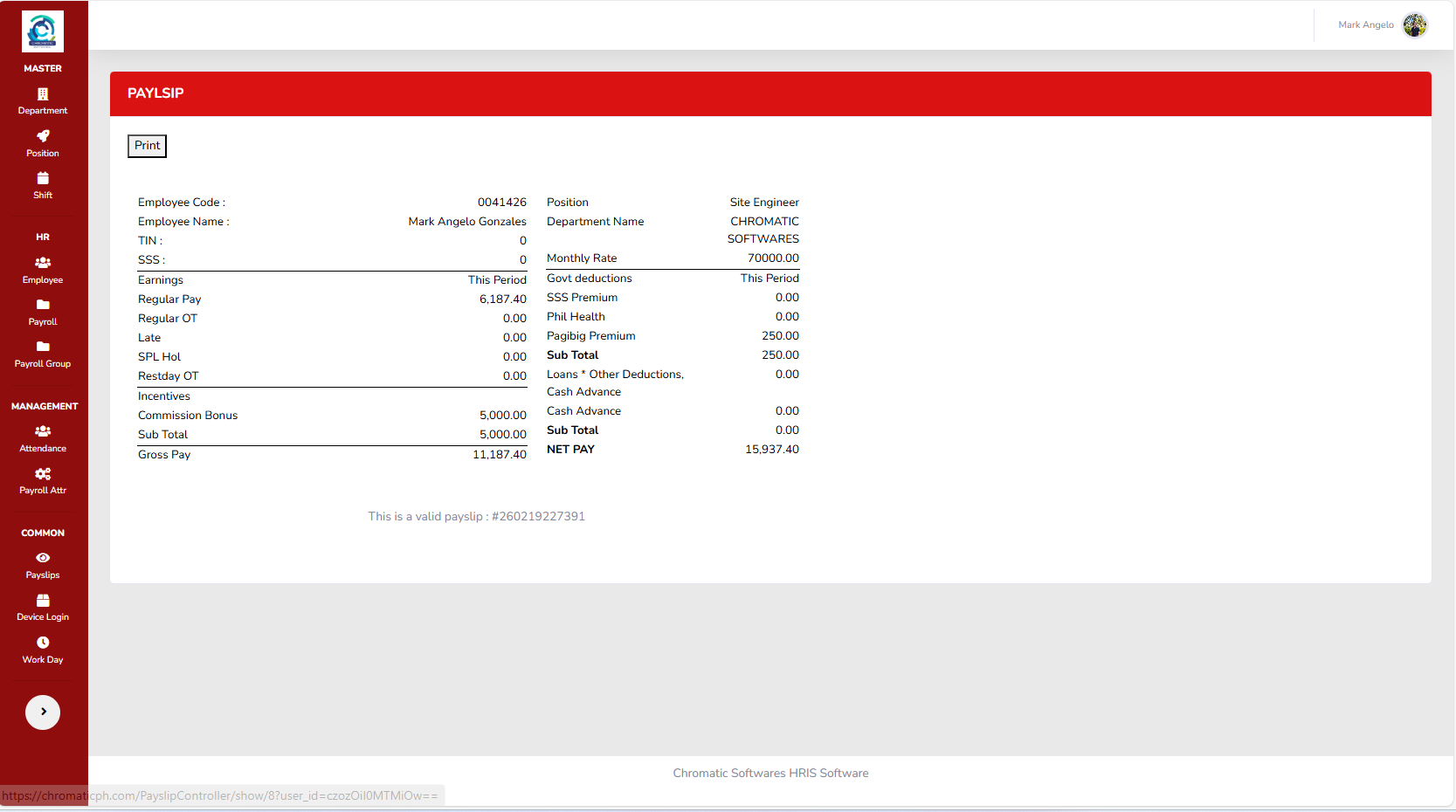 Payslip Detail View